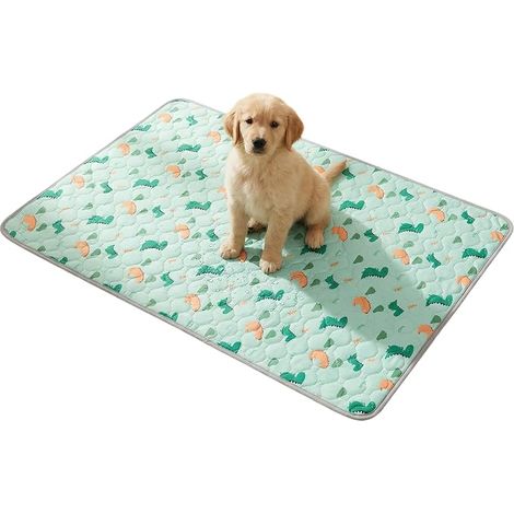 Set Washable Non-Slip Dog Mats, 45 x 60 cm, Dog Cleanliness Mat, Reusable Puppy Mat, Absorbent Dog Training Mat, for Crate, Floor, Sofa, Car Seat (Green) (1/5)