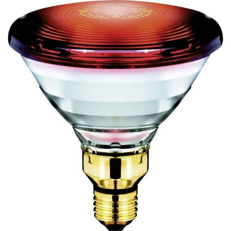 G4-Halogenlampen, G4 12V 20W Halogen-Stiftsockellampe, 2800K Warmweiß, dimmbar, G4 Klarglas-Kapsellampe, 10er-Pack [Energieklasse C] (1/5)