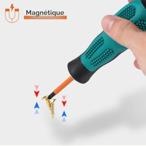 Tournevis Torx magnétiques T5-T40, lot de 13, 150 mm, avec cliquet (1/3)