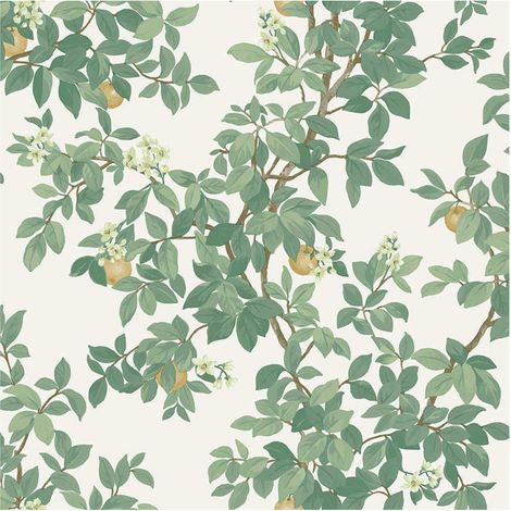 Holden Decor Orange Tree Cream Green Wallpaper Botanical Paste The Paper