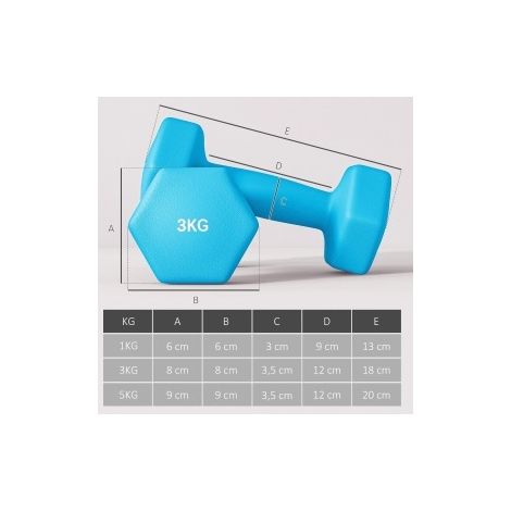 Manubri con supporto, set 6 pezzi, 1 kg, 3 kg e 5 kg HAVRYA (1/4)