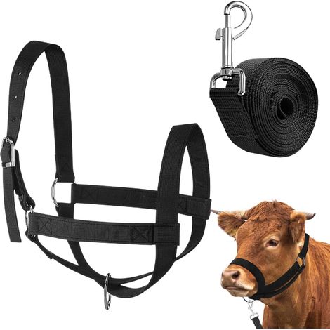 Haltère pour Veau Haltérisation Veau et Laisse de Conduite - Nylon Adjustable Renforcé Équipement Dressage Bétail pour Manipulation Présentation Animaux Races Petites Chèvre Agneau Mouton (1/5)