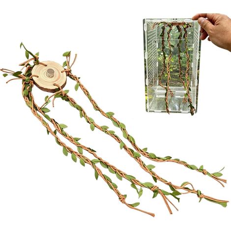 Accessori per terrari Jumping Spider Viti di arricchimento della gabbia per rettili, Viti rampicanti per rettili, per pitoni reali, lucertola, tartaruga acquatica, drago barbuto, rana, T (1/5)