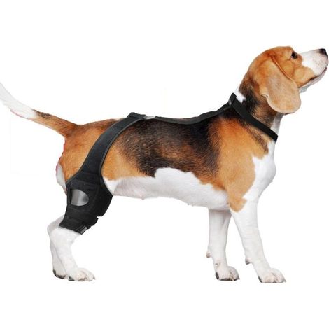 Genouillère pour Chien Attelle De Soutien pour Patte Arrière Genouillère Réglable avec Sangle de Soutien pour Rééducation et Faiblesse Musculaire (1/5)
