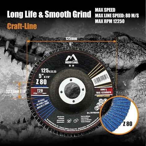 Grit 80 Flap Disc 125 mm Metal T29 (1/4)