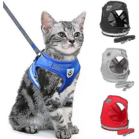 Harnais pour chat, Harnais anti-fugue pour chat