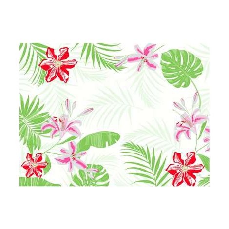 Set de Table Jetable 30x40 cm Tropiocal - Lot de 2 Colis de 1000 - Duni Sarl