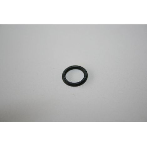 ELMAG O-Ring Nr. 21