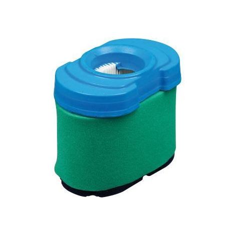 Filtro aria rasaerba compatibile BRIGGS & STRATTON  792105 407777 445577