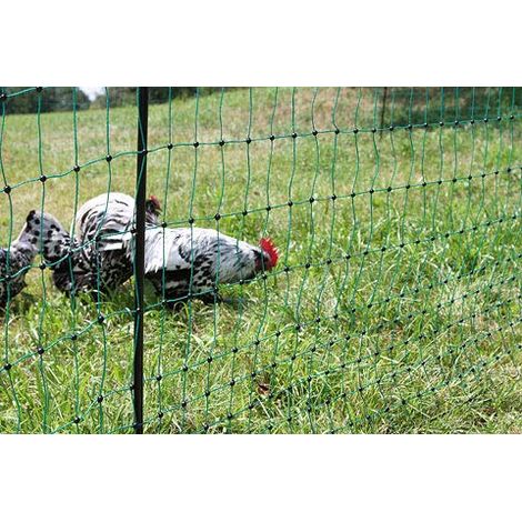 Corral Poultry Netting 50 m, 106 cm Double Prong, green, elec con. (1/4)