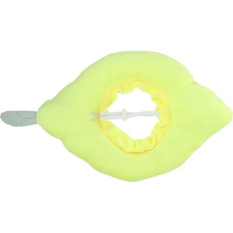 1 collier de protection pour chien