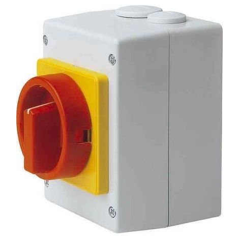 ELEKTRA TAILFINGEN MATÉRIAU NOT OFF 011/S1-HS-T8/2-D-MRG ISOGEKAPSELT 4018325521748 DÉCONNECTEUR 188604