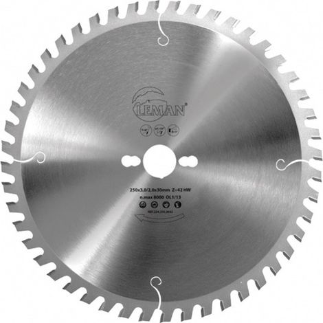 Leman - Lame Carbure de Chantier 450x30x66z Alternee (1/4)