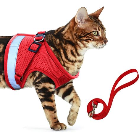 Harnais Chat - Maille Polyester Respirant - Réglable avec Velcro - Pour Sorties Extérieures Sécurisées - Taille XS Rouge