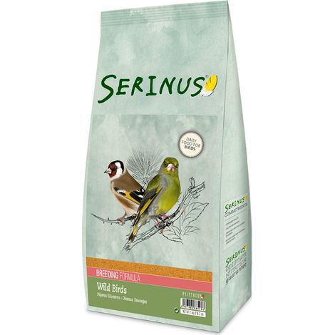 Serinus Wild Birds che riproduce 1 kg