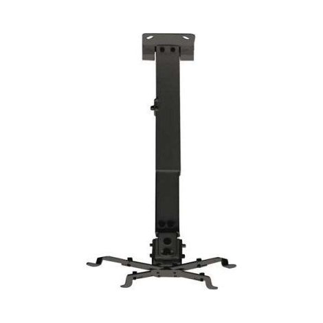 Projektorhalterung approx schwenkbar vesa max 200x200 bis 10kgs (1/2)