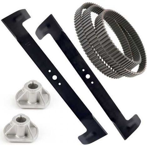 Lame + support + courroie pour Castelgarden Twin cut 122, TC122 (1/5)