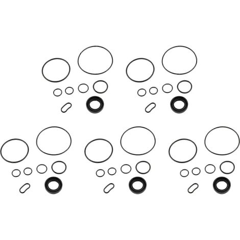 Kit de réparation et d'étanchéité pour pompe de direction assistée compatible avec Accord 2003-2007, CRV 2002-2006 et Odyssey 2005-2008. Référence : 06539-PLA-A01 (1/5)