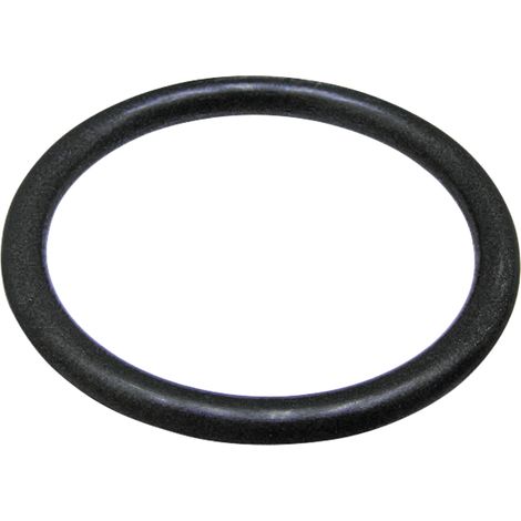 Junta tórica izquierda Fiat 54 mm 71817039 GRANITE 14471180