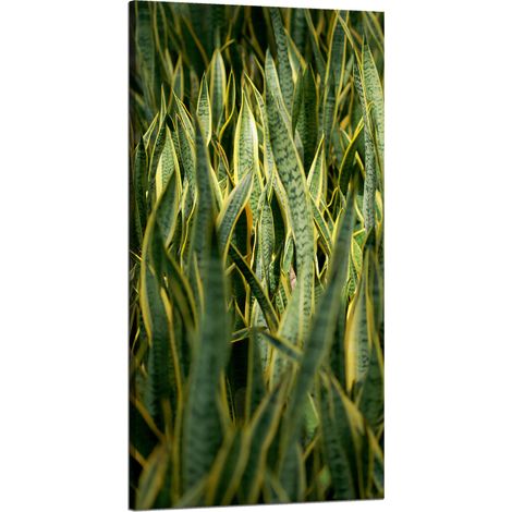 Lienzo impreso Botánica Hierba verde 60x120 cm
