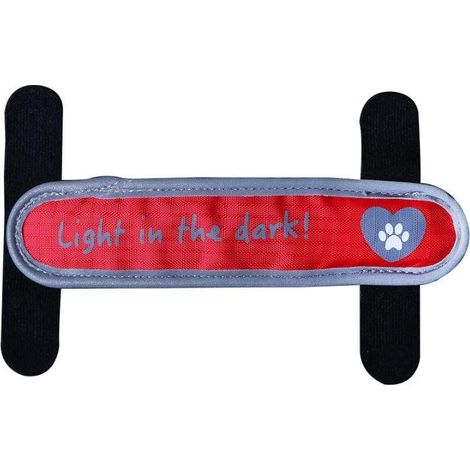 Lanière pour collier et harnais, LED, polyester, 2cm/16cm