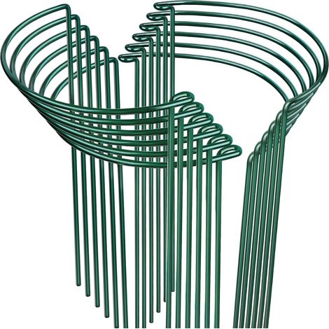 Tuteurs plantes métal – Lot de 12 – 25x40 cm – Pour pivoine, tomate, hortensia – Support jardin intérieur/extérieur (1/5)