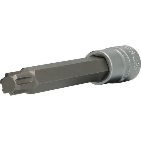 Tournevis à Embout Ribe 1/2" 140 mm M13 (1/5)