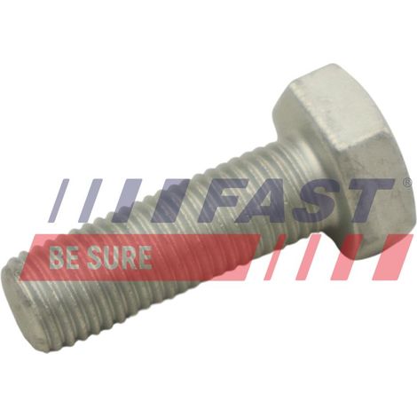 FT30601 disco de tornillo rápido HAM (1/2)