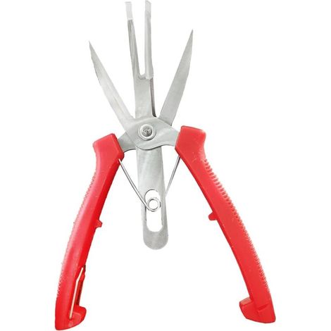 1 PC Ciseaux à Légumes Et Fruits Coupe-Branches Sécateurs à Main Bonsa Outils Ciseaux De Coupe De Plantes Jardinage Sécateur à Main Coupe Fleurs Cisailles Outils De Jardin (1/5)