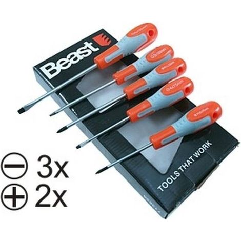 Jeu de Tournevis 5x - 75-125 mm - Magnétisés - Acier au Chrome Vanadium - Précision et durabilité - Beast (1/5)