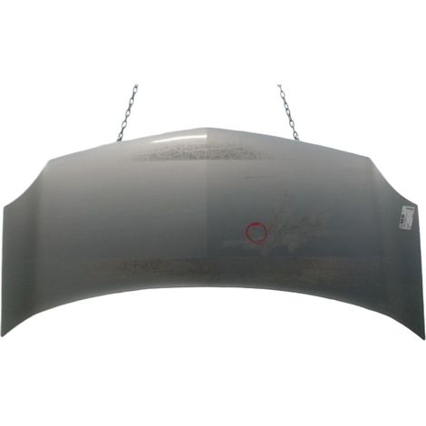 Capot RENAULT Kangoo Break II Phase 1 2008-2013 [PRODUIT D'OCCASION]♻️651003220r (1/3)