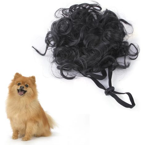 1 Perruque pour chien, accessoire de déguisement tête noir, fibre de nylon, tour de tête 26-60 cm, pour Halloween Noël fêtes (1/5)
