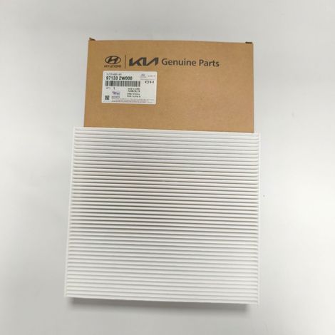 Les éléments filtrants 97133-3SAA0 et 97133-2W000 conviennent aux véhicules Hyundai et Kia. (1/5)