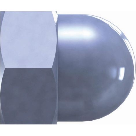 SB Hutmuttern verz 6 mm Paket 100 Stück Stahl, verzinkt, blau passiviert, verpackt a 100 (1/3)