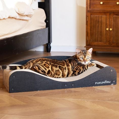 Grattoir pour Chat, 73,9 cm Extra Long Lit Canapé en Carton d'Intérieur, Récréation Multifonctionnelle en Feutre Naturel, Tapis de Griffure Horizontal avec Balle Jouet, Noir (1/5)