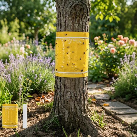 Bande Glue Arbre Fruitier 25cm x 10m, Anti Fourmis Arbre