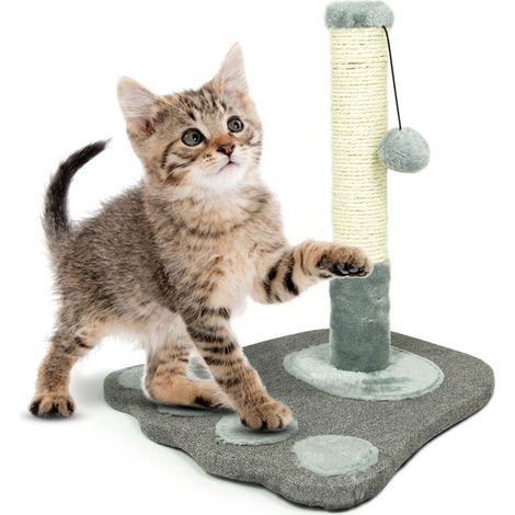 Tiragraffi A Colonna Giocattolo Palestra Per Gatti Modello Zampa (1/3)