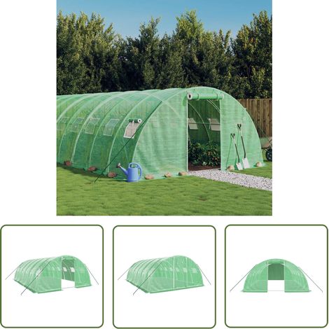 The Living Store Serre avec cadre en acier vert 24 m² 6x4x2 m - Serre De Jardin - Serre Verte - Abri Jardin - Tunnel De Jardin - Protection Plante (1/5)