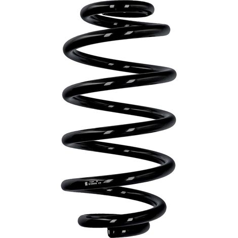 Molla posteriore Eibach ERL per Mercedes-Benz R10008 (1/2)
