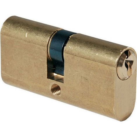 12PZ CILINDRO OVALE Art. 2302/OL Ottone Lucido mm. 60 (30-30)