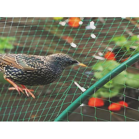 Confine RETE ANTI-UCCELLI Col. Verde mt. 2x10