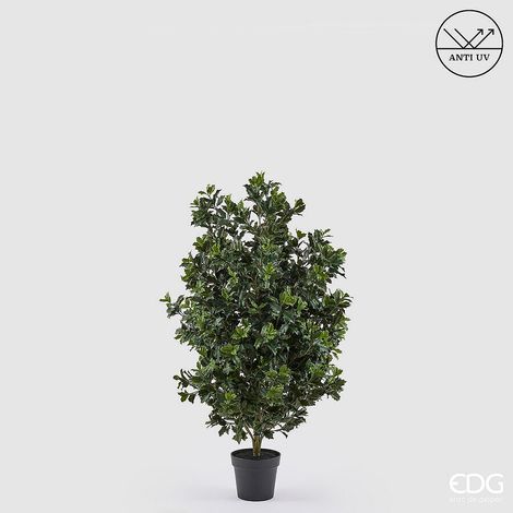 EDG Enzo De Gasperi Pianta Artificiale Agrifoglio H 125 Cm con Vaso – Anti UV Verde per Interno ed Esterno (1/4)
