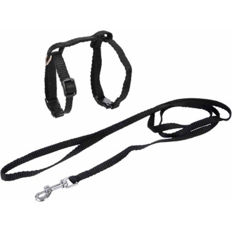 Harnais & Laisse pour Chat "Kit" 120cm Noir (1/3)