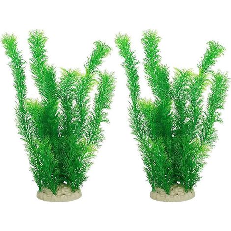 Aménagement paysager d'aquarium, plantes aquatiques, décoration d'aquarium, cresson--