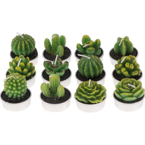 Lot de 12 bougies chauffe-plat décoratives en forme de plantes artificielles, idéales pour la chambre, les fêtes et les mariages (n° 2) (1/4)