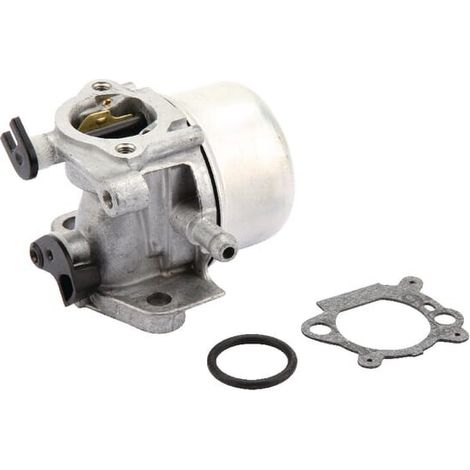 Carburatore BRIGGS et STRATTON 799871 QUANTUM (1/2)