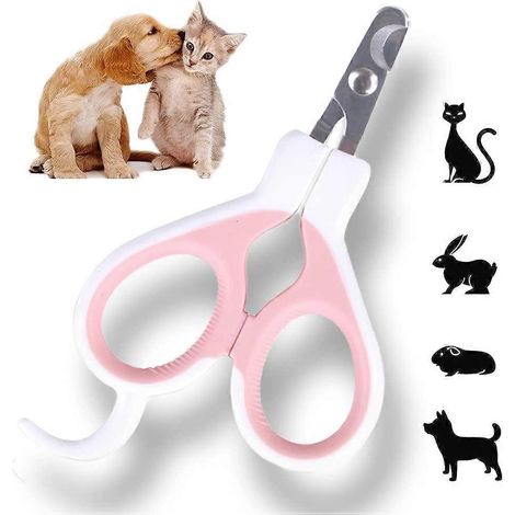 Coupe-ongles pour chiens, chats, lapins et cochons d'Inde, avec une lame sûre, pour un entretien soigneux des griffes à domicile.-AquaForge (1/5)