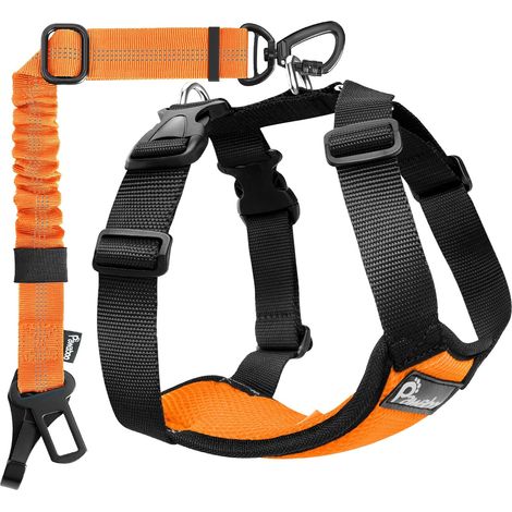 Harnais de Sécurité pour Chien en Voiture avec Double Attache (1/5)