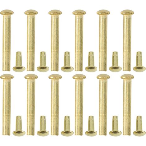 de 20 rivets et écrous en acier inoxydable doré pour axe de (1/5)