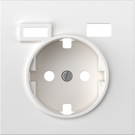 Tapa para Schuko con 2 puertos USB A y C blanco mate serie Simon 360 (1/5)